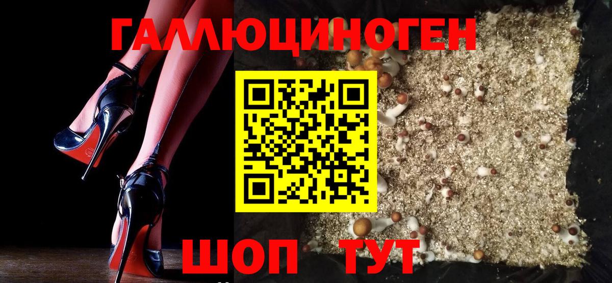 Галлюциногенные грибы Magic Shrooms  Вход с VPN  Дедовск 